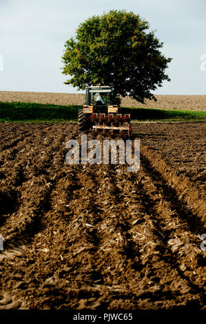 Ein Bauer seinen Acker Pflügen in Bierbeek (Belgien, 29.10.2009) Stockfoto