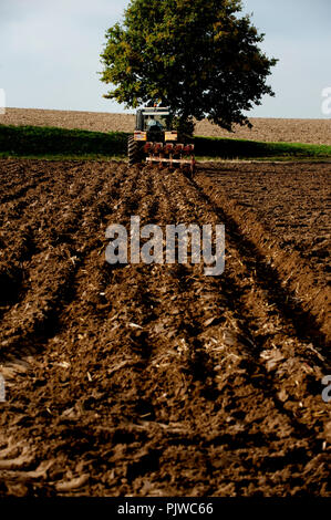 Ein Bauer seinen Acker Pflügen in Bierbeek (Belgien, 29.10.2009) Stockfoto