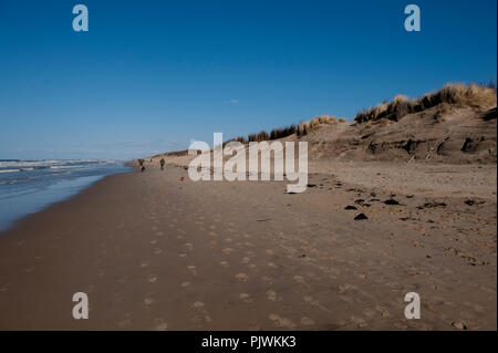 Die Küste und die Dünen um Vosseslag, in der Nähe De Haan an der Belgischen Küste (Belgien, 29/03/2009) Stockfoto