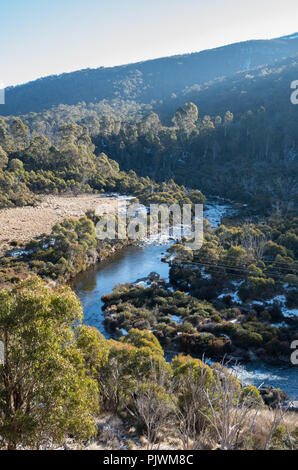 Thredbo River im späten Nachmittag wie aus der alpinen Art gesehen in Richtung Thredbo Stockfoto