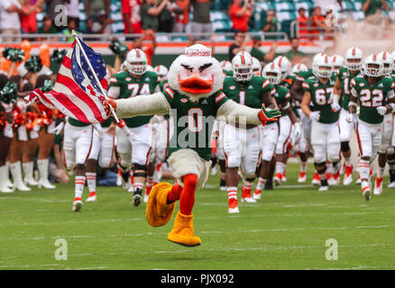 Miami Gardens, Florida, USA. 08 Sep, 2018. Sebastian das Ibis, das offizielle Maskottchen für die Universität von Miami, führt die Mannschaft in das Feld für die College Football Spiel zwischen dem Savannah State Tiger und die Miami Hurrikane im Hard Rock Stadion in Miami Gardens, Florida. Die Hurrikane gewann 77-0. Mario Houben/CSM/Alamy leben Nachrichten Stockfoto