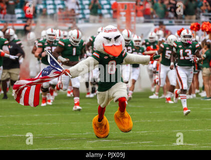 Miami Gardens, Florida, USA. 08 Sep, 2018. Sebastian das Ibis, das offizielle Maskottchen für die Universität von Miami, führt die Mannschaft in das Feld für die College Football Spiel zwischen dem Savannah State Tiger und die Miami Hurrikane im Hard Rock Stadion in Miami Gardens, Florida. Die Hurrikane gewann 77-0. Mario Houben/CSM/Alamy leben Nachrichten Stockfoto