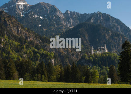 Schloss Neuschwanstein in den Bayerischen Alpen Deutschlands. Stockfoto