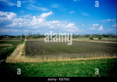 Impressionen der Felder und Natur rund um Geraardsbergen, auch genannt die Ardennen von Flandern (Belgien, 12/04/2008) Stockfoto