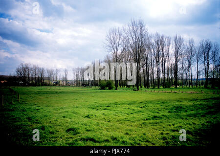 Impressionen der Felder und Natur rund um Geraardsbergen, auch genannt die Ardennen von Flandern (Belgien, 12/04/2008) Stockfoto