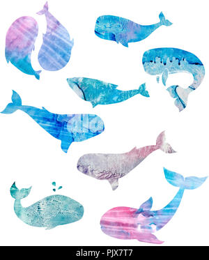 Wale aquarell Textur Tier Aquarell splash abstrakte Textur Charakter zeichnen Abbildung geometrische clip art für Geburtstag Feier drucken Stockfoto