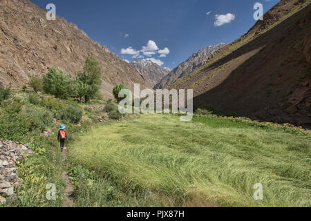 Weizenfelder in dem schönen Dorf Jizeu, Bartang Tal, Tadschikistan. Stockfoto