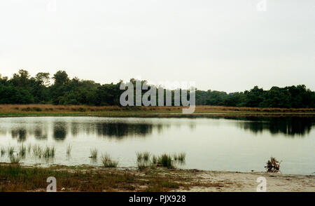 Landschaft Impressionen von der Grenze Park De Zoom Kalmhoutse Heide (Belgien, 1992) Stockfoto