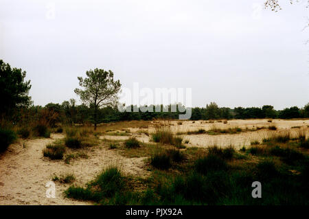 Landschaft Impressionen von der Grenze Park De Zoom Kalmhoutse Heide (Belgien, 1992) Stockfoto