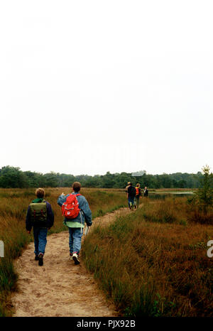 Landschaft Impressionen von der Grenze Park De Zoom Kalmhoutse Heide (Belgien, 1992) Stockfoto