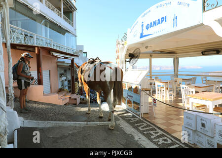 SANTORINI, Griechenland - 19 JULI 2018: maultiere in der Straße auf Santorini. Diese Tiere mit Esel sind als Transport Besucher aus der Stadt zu nehmen Stockfoto