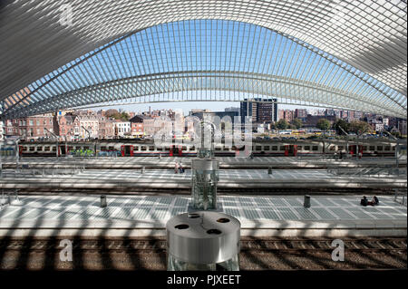 Der Bahnhof Liège-Guillemins in Lüttich, entworfen von Santiago Calatrava (Belgien, 30/09/2011) Stockfoto