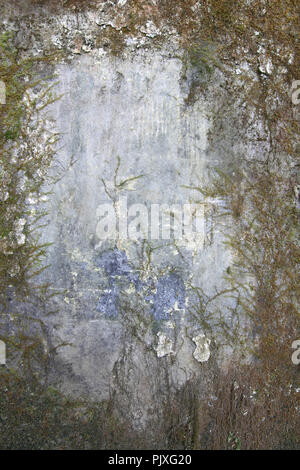 Alte schmutzige Wand mit Moos und Schimmel bedeckt - grunge Textur Stockfoto