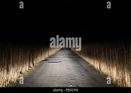 Die Straße nach Machir Bay Kirche bei Nacht auf Islay/La Route pour l'église de Machir Bay la nuit à Islay Stockfoto