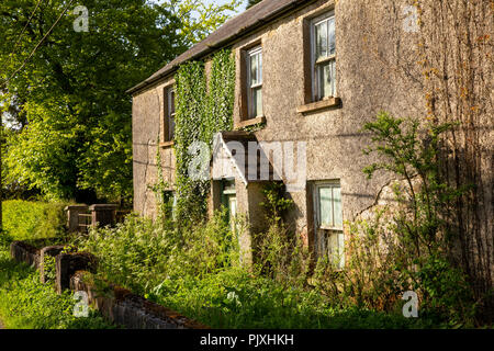 Irland, Co Leitrim, Garvagh, überwucherten verlassenen Hütte von Seite der Straße Stockfoto