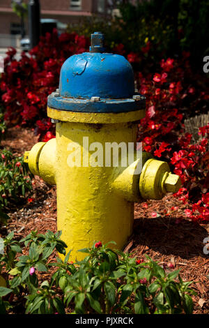 Gelber Hydrant umgeben von Blumen in der Kleinstadt. Stockfoto