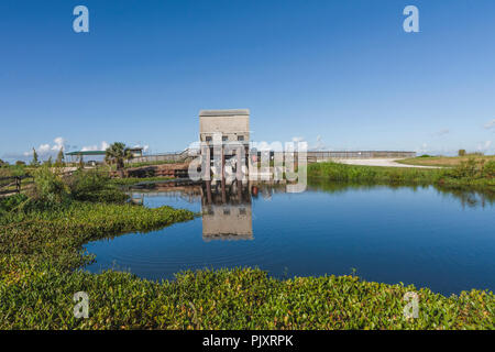 Central Florida Marsh Feuchtgebiete Stockfoto
