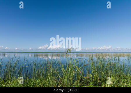 Lake Apopka Florida Horizont Stockfoto