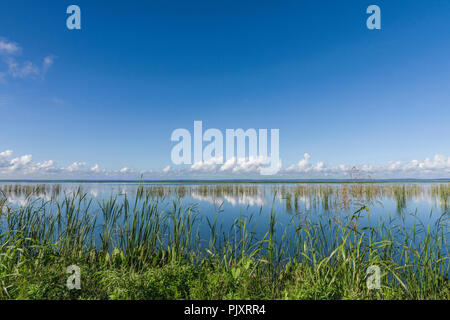Lake Apopka Florida Horizont Stockfoto