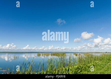 Lake Apopka Florida Horizont Stockfoto