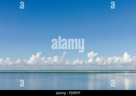 Lake Apopka Florida Horizont Stockfoto