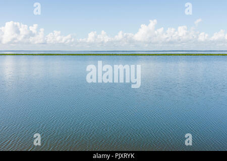 Lake Apopka Florida Horizont Stockfoto