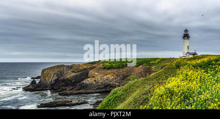 Panoramablick auf die Landschaft Yaquina Head hervorragende natürliche Umgebung mit seinem Leuchtturm und felsigen basaltischen Vorgewende, Oregon Coast, Newport, USA. Stockfoto