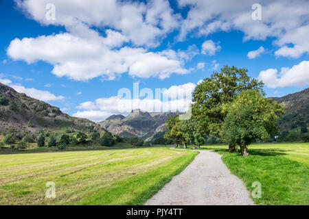 Pastoralen Szenen im Great Langdale des englischen Lake District Stockfoto