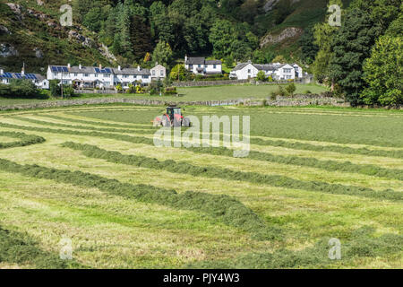 Pastoralen Szenen im Great Langdale des englischen Lake District Stockfoto