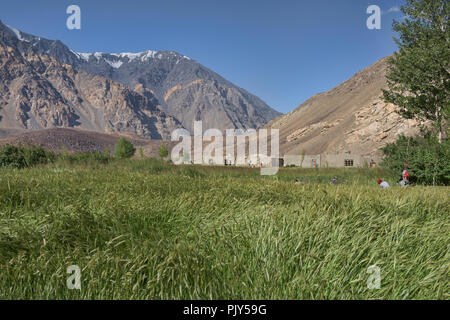 Weizenfelder in Bartang Pasor im Tal, Tadschikistan. Stockfoto