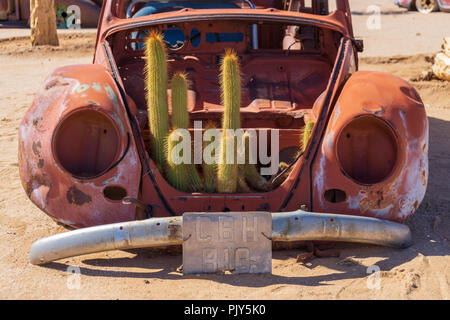 Altes Auto mit Kakteen in der Wüste Namibia Sommer Stockfoto