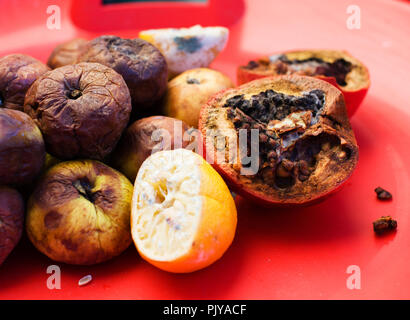 Viele der Roten Früchte. Äpfel, Zitrone, Granat Molden dunkel und vertrocknet. Umwelt-Konvertierung-Konzept Stockfoto