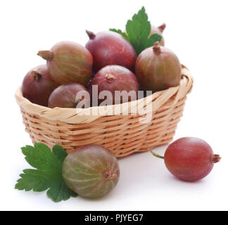 Frische reife Stachelbeere in einem Korb auf weißem Hintergrund Stockfoto