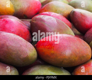 Frischen bunten tropischen Mangos auf Anzeige an outdoor Farmers Market Stockfoto