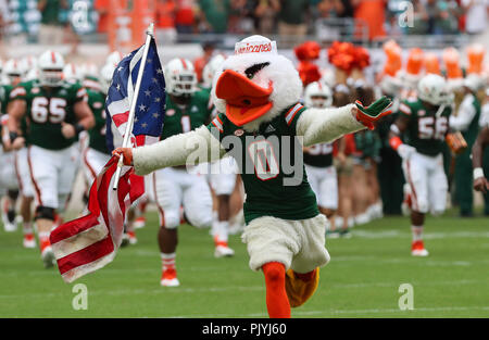 Miami Gardens, Florida, USA. 08 Sep, 2018. Sebastian das Ibis, das offizielle Maskottchen für die Universität von Miami, führt die Mannschaft in das Feld für die College Football Spiel zwischen dem Savannah State Tiger und die Miami Hurrikane im Hard Rock Stadion in Miami Gardens, Florida. Die Hurrikane gewann 77-0. Mario Houben/CSM/Alamy leben Nachrichten Stockfoto