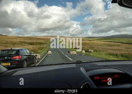 Yorkshire, UK. 9. September 2018: Drama in der Sturmwolken über Ribblehead Viadukt als Bahnübergang die Dales, Schafe halten den Verkehr entlang der B Straßen rund um die Dales. Clifford Norton Alamy Leben Nachrichten. Stockfoto