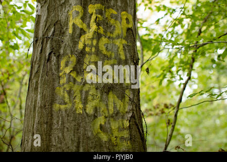 Morschenich, Deutschland. 09. September 2018. Friedliche Demonstration gegen die Räumung des Hambacher Forst durch den Energiekonzern RWE. Das Clearing soll im Oktober starten. Jochen Brut/Alamy Nachrichten Stockfoto