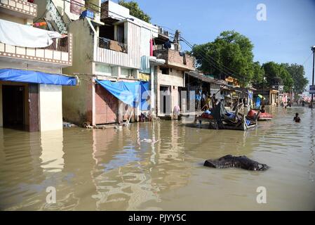 Allahabad, Uttar Pradesh, Indien. 10 Sep, 2018. Allahabad: Ein Blick auf die Häuser unter Wasser mit Wasser des Flusses Ganga bei Daraganj Bereich in Allahabad. Credit: Prabhat Kumar Verma/ZUMA Draht/Alamy leben Nachrichten Stockfoto