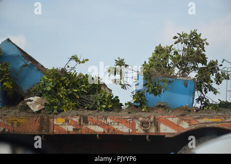 Kolkata, Indien. 10. September, 2018. Die blühende Pflanze Wannen aus dem vidyasagar Brücke über den Fluss entfernt werden Hooghly Belastung durch die westbengalische Regierung zu verringern, die Bewegung hat kommen nach dem Vorfall ein Teil der Majerhat Brücke, die früher in Kalkutta, am 4. September 2018, die drei Todesopfer und 24 Verletzte zusammengebrochen. Die Anlage Wannen wurde als Teil einer Verschönerung Projekt der Landesregierung gestellt. Credit: Biswarup Ganguly/Alamy leben Nachrichten Stockfoto