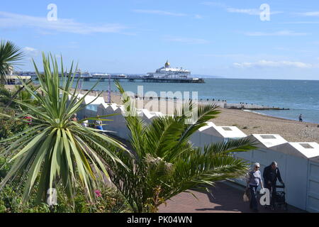 Direkt am Meer, mit Pier in Eastbourne, East Sussex, England, Großbritannien Stockfoto