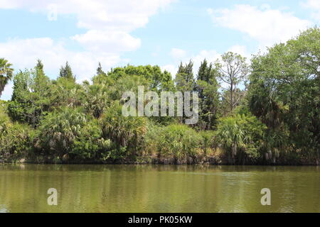 See Seminole Park, Park Boulevard North, Seminole, FL, USA Stockfoto