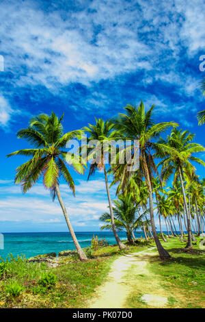 Ein gewundener Pfad, der durch eine Palme Wald in der Nähe des Karibischen Meer führt. Las Galeras, Samana, Dominikanische Republik Stockfoto