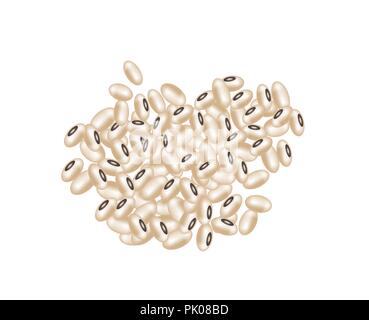 Trockenen organischen Sojabohnen auf weißem Hintergrund Stock Vektor