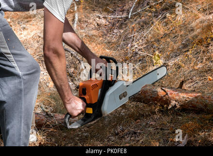 In den Wald, ein Mann Sägen einen Baumstamm mit einer Kettensäge. Stockfoto