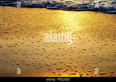 Was eine auffällige Hintergrund oder Kulisse! Gleißendes Sonnenlicht am Morgen sprudelte Surfen auf einem Strand in Florida, USA Stockfoto
