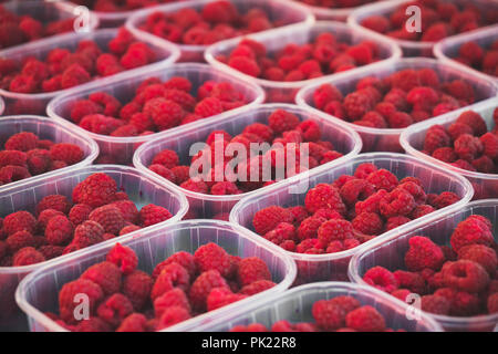 Menge reife rote Himbeeren im Supermarkt. Stockfoto