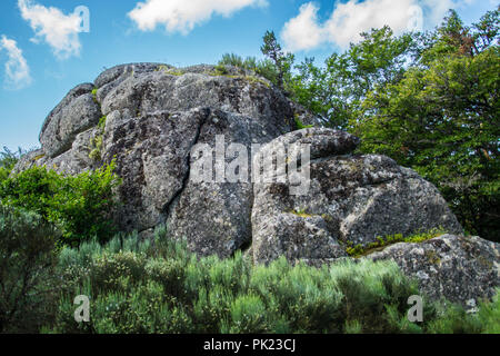 Massiv von der Daisy in Lozere Stockfoto