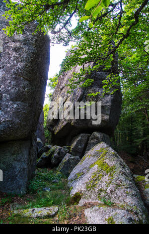 Massiv von der Daisy in Lozere Stockfoto