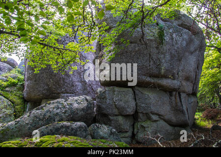 Massiv von der Daisy in Lozere Stockfoto