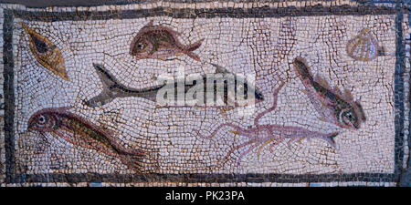 Römische Mosaik Bereich, Fische, Antioch, Türkei, 3. Jahrhundert AD, Kunst Institut von Chicago, Chicago, Illinois, USA, Nordamerika, Stockfoto